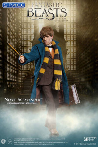 1/6 Scale Newt Scamander (Fantastic Beasts and Where to Find Them)