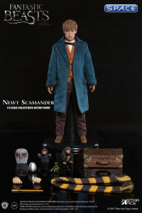 1/6 Scale Newt Scamander (Fantastic Beasts and Where to Find Them)