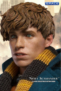 1/6 Scale Newt Scamander (Fantastic Beasts and Where to Find Them)