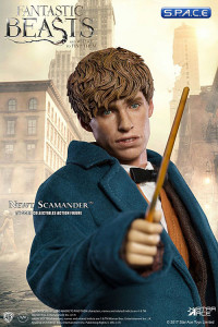 1/6 Scale Newt Scamander (Fantastic Beasts and Where to Find Them)