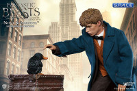 1/6 Scale Newt Scamander (Fantastic Beasts and Where to Find Them)
