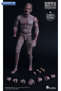 1/6 Scale Durable Zombie Body with Merle Head