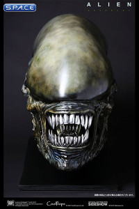 1:1 Xenomorph Life-Size Head (Alien: Covenant)