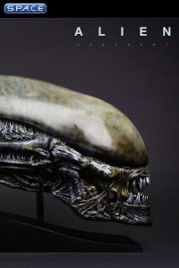 1:1 Xenomorph Life-Size Head (Alien: Covenant)