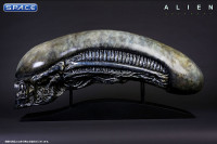 1:1 Xenomorph Life-Size Head (Alien: Covenant)