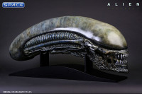 1:1 Xenomorph Life-Size Head (Alien: Covenant)