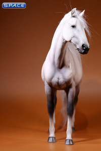 1/6 Scale white/grey Hanoverian Warmblood Horse