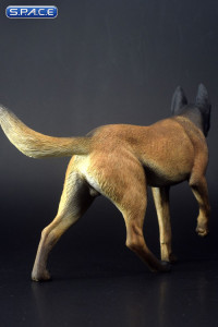 1/6 Scale black Malinois