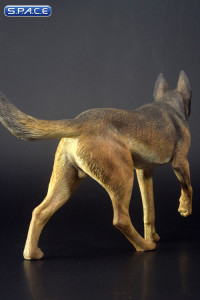 1/6 Scale black/brown Malinois