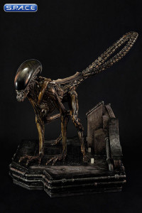 1/3 Scale Dog Alien Museum Masterline Maquette (Alien 3)