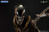 1/3 Scale Dog Alien Museum Masterline Maquette (Alien 3)