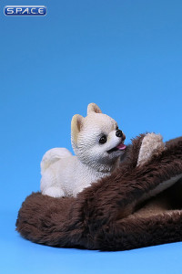 1/6 Scale white Pomeranian Pup