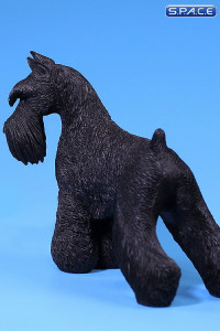 1/6 Scale black Schnauzer