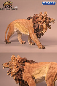 1/6 Scale African Lion deep color