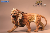 1/6 Scale African Lion deep color