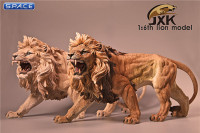 1/6 Scale African Lion deep color