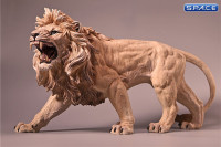 1/6 Scale African Lion light color