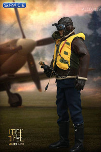 1/6 Scale WWII Royal Air Force Fighter Pilot