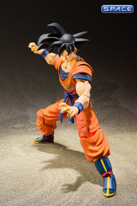 S.H.Figuarts Son Goku (Dragon Ball Z)