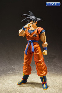 S.H.Figuarts Son Goku (Dragon Ball Z)