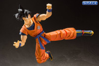 S.H.Figuarts Son Goku (Dragon Ball Z)