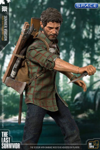 1/6 Scale The Last Survivor Joe