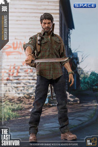 1/6 Scale The Last Survivor Joe