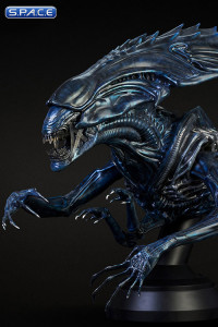 1/3 Scale Alien Queen Bust (Alien vs. Predator)