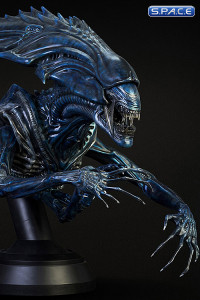 1/3 Scale Alien Queen Bust (Alien vs. Predator)