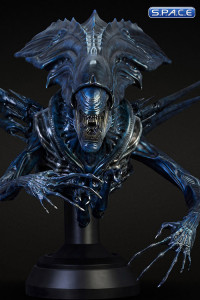 1/3 Scale Alien Queen Bust Deluxe Version (Alien vs. Predator)