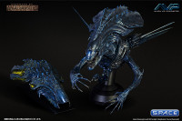 1/3 Scale Alien Queen Bust Deluxe Version (Alien vs. Predator)
