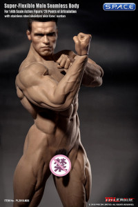 1/6 Scale Seamless Male Body M35 (Super-Flexible)