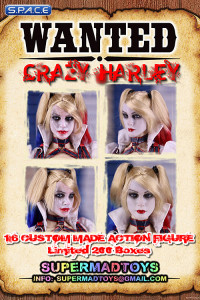 1/6 Scale Crazy Harley