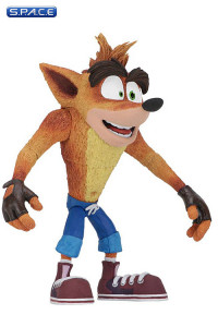 Crash Bandicoot (Crash Bandicoot)