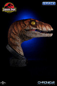 1:1 Male Raptor Bust (Jurassic Park: The Lost World)