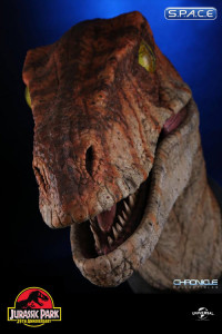 1:1 Male Raptor Bust (Jurassic Park: The Lost World)