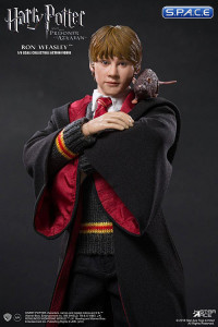 1/6 Scale Ron Weasley (Harry Potter and the Prisoner of Azkaban)