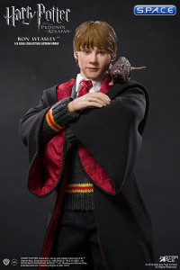 1/6 Scale Ron Weasley (Harry Potter and the Prisoner of Azkaban)