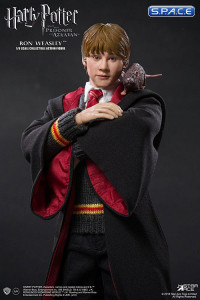 1/6 Scale Ron Weasley Deluxe Version (Harry Potter and the Prisoner of Azkaban)