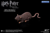 1/6 Scale Ron Weasley Deluxe Version (Harry Potter and the Prisoner of Azkaban)