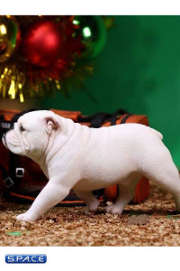 1/6 Scale white British Bulldogs