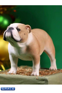 1/6 Scale yellow/white Clown Face British Bulldogs