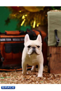 1/6 Scale cream French Bulldogs 3.0