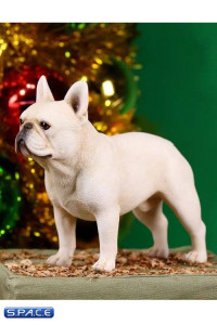 1/6 Scale cream French Bulldogs 3.0