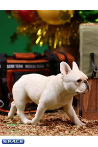 1/6 Scale cream French Bulldogs 3.0