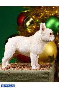 1/6 Scale cream French Bulldogs 3.0