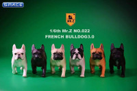 1/6 Scale cream French Bulldogs 3.0