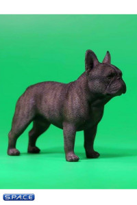 1/6 Scale tan French Bulldogs 3.0