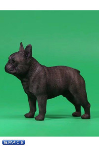 1/6 Scale tan French Bulldogs 3.0