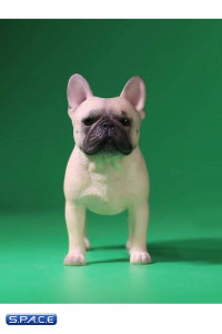 1/6 Scale beige French Bulldogs 3.0